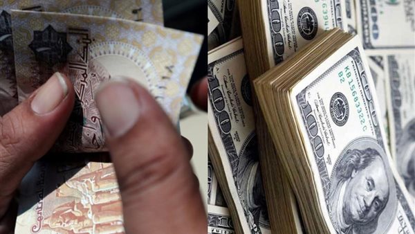 الجنيه المصري والدولار