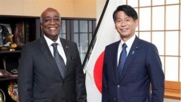 سفير مصر في اليابان