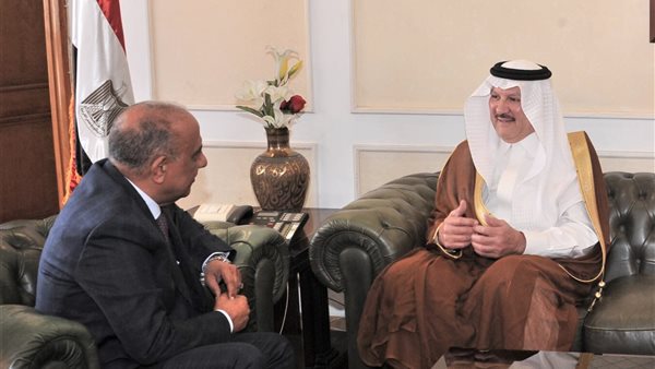 وزير قطاع الأعمال