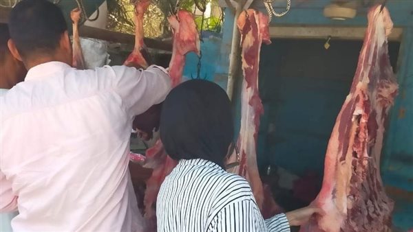 جانب من الحملة 