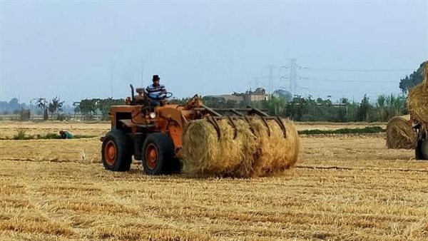 ماكينة قش الأرز -