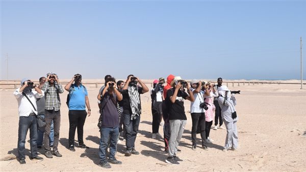 مراقبة الطيور بمحطات