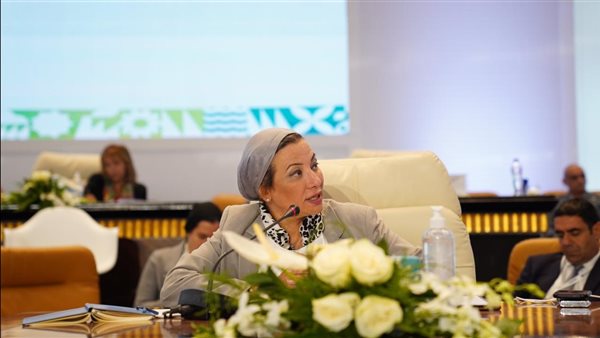 الدكتورة ياسمين فؤاد