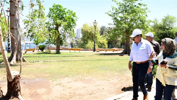 محافظ أسوان