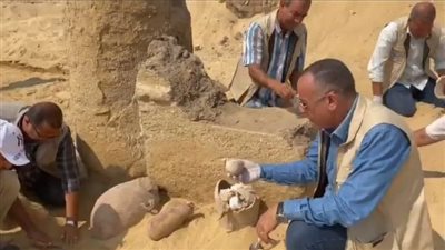 بعد كشف قوالب جبن أبيض.. مصدر بالآثار: 10 آلاف قطعة أثرية مُكتشفة حتى الآن بمعبد الإله باستيت 