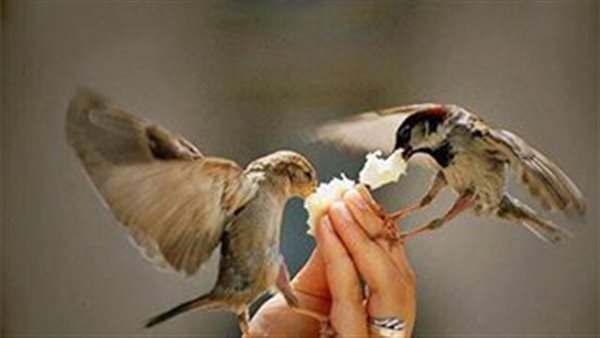 أدعية فيها العجب