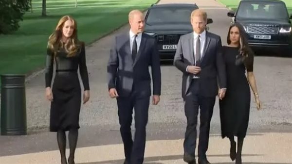 الأمير هاري وميجان