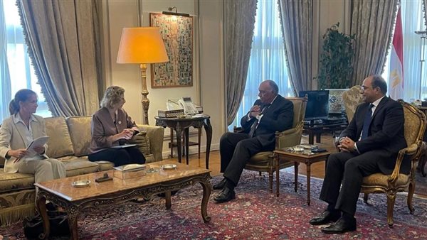 سامح شكري وزير الخارجية