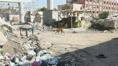 استجابة لـ القاهرة 24.. تعليم الجيزة تقرر إنشاء سور لمدرسة الثورة المصرية 