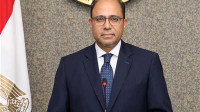 مصر تدعو لاحترام إرادة الشعب الليبي وعدم تجاوز دور المؤسسات الليبية