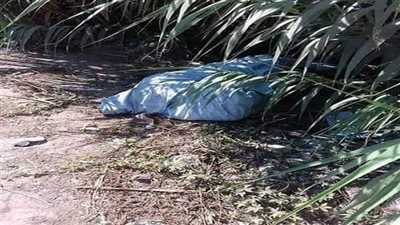 العثور على طفل حديث الولادة في الزراعات ببني سويف