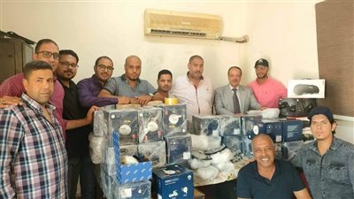 جمارك سفاجا تضبط 7 محاولات تهرب جمركي لكمية من الأدوية البشرية | صور