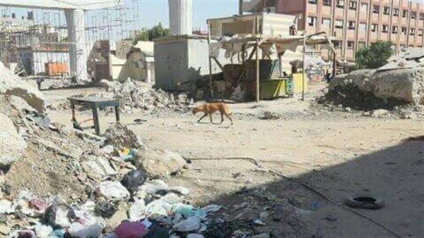 سور مدرسة الثورة