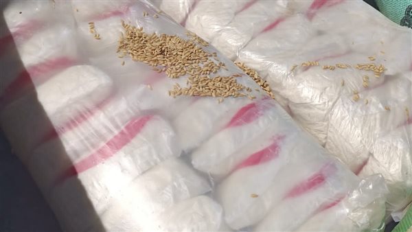 حملات تموينية على