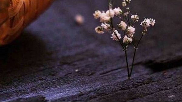 صور للواتساب