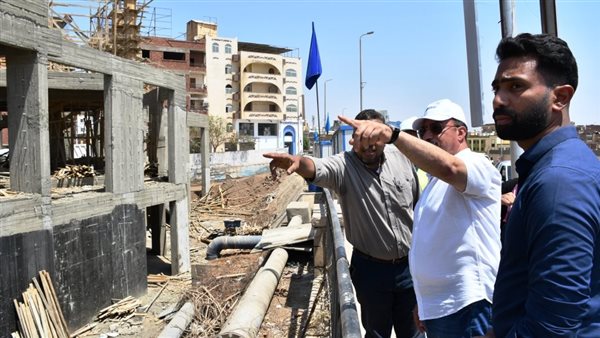 محافظ أسوان