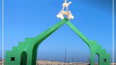 توفير 4 أتوبيسات لنقل الجماهير لمشاهدة سباق الهجن بالعريش