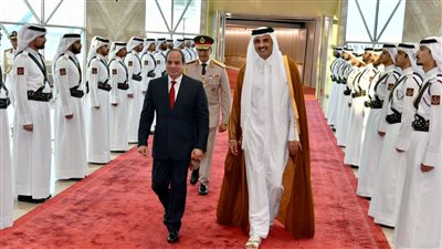 هل تشمل صحفيي الجزيرة؟.. مصادر: زيارة السيسي لقطر هدفها الاستثمار في الغاز وقضايا أخرى | خاص