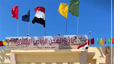 اليوم.. انطلاق سباق الهجن الرياضي بالعريش بحضور وزير الشباب والرياضة