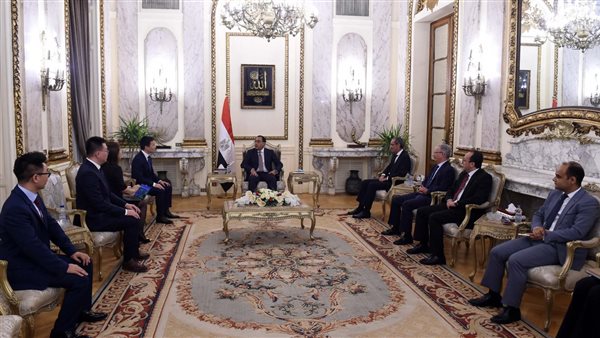 رئيس الوزراء ووفد