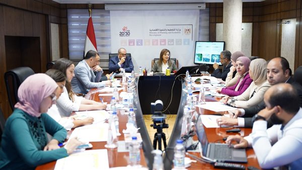 وزيرة التخطيط