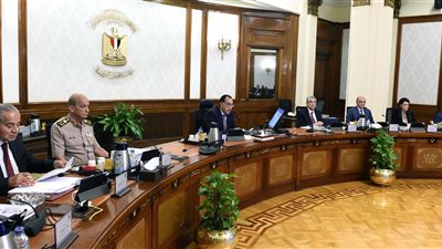 الحكومة: الوضع الوبائي لجدري القردة في مصر آمن