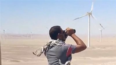 لمنع اصطدامها بتوربينات الرياح.. جهود مكثفة لحماية الطيور المهاجرة بمسار رحلتها من أوروبا لإفريقيا | لايف