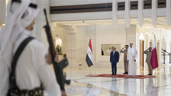 السيسي وأمير دولة