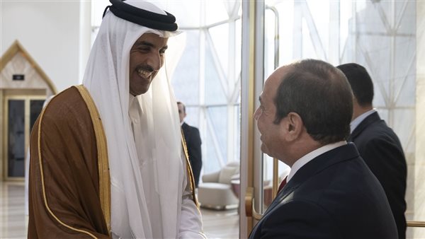 الرئيس السيسي وأمير