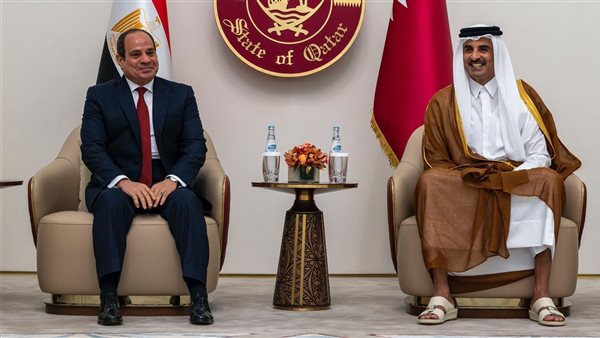 السيسي وأمير دولة