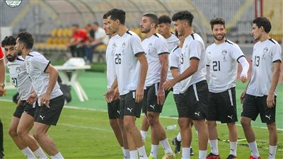 سلبية مسحة المنتخب استعدادًا لوديتي النيجر وليبيريا