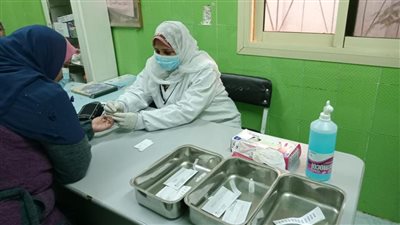 صحة المنوفية: الكشف على 98 ألف سيدة حامل بحملة الكشف المبكر على الأمراض المنقولة من الأم للجنين