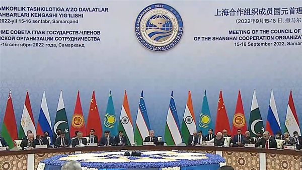 الدول الاعضاء في