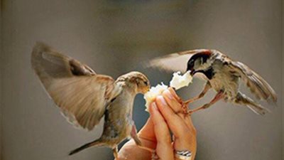 دعاء طلب الرزق... احرص على هذه الكلمات التي لا ترد