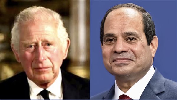 الرئيس السيسي والملك