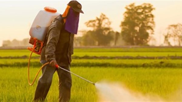 رش المبيدات -أرشيفية