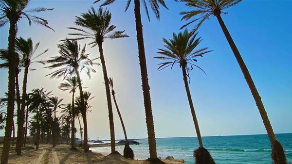 طقس شمال سيناء 