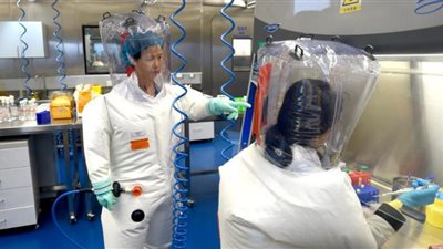 ديلي ميل: مجلة طبية عالمية تعلن تسريب فيروس كورونا من مختبر