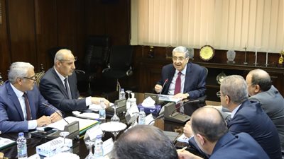 وزير الكهرباء: نسعى لرفع كفاءة الشبكة لتقليل فترات انقطاع التيار
