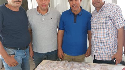 جمارك السلوم تضبط محاولة تهريب 300 سماعة طبية 