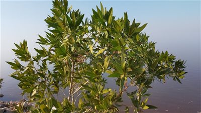 انخفاض آخر في درجات الحرارة بالفيوم.. تعرف على حالة الطقس اليوم 