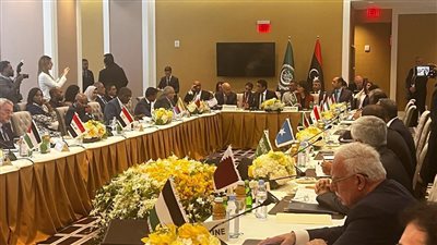 مصادر: مصر لم تشارك في اجتماع وزراء الخارجية العرب التشاوري بنيويورك بسبب حكومة ليبيا 