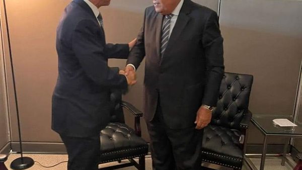 وزير الخارجية يلتقي