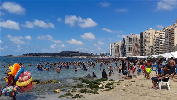 شواطئ الإسكندرية