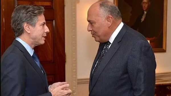 سامح شكري وبلينكن