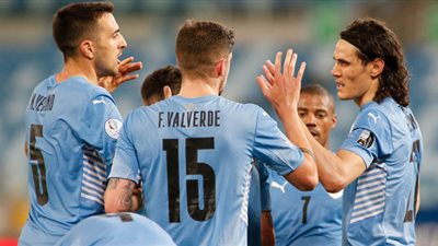 كافاني: فالفيردي سيساعدنا على تحقيق حلم كأس العالم