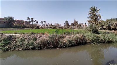 العُظمى 32.. تحسن في درجات الحرارة بالفيوم