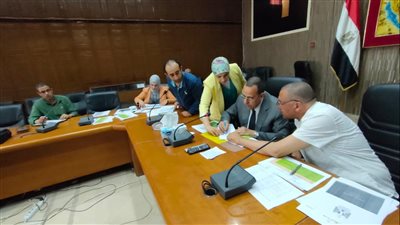 محافظ شمال سيناء يشدد على دور مبادرة المشروعات الخضراء الذكية