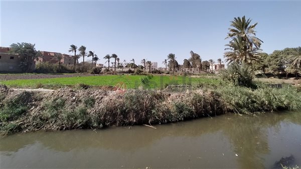 الفيوم.. تصوير: إيمان