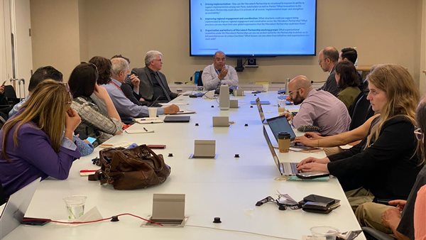 الدكتور محمود محيي